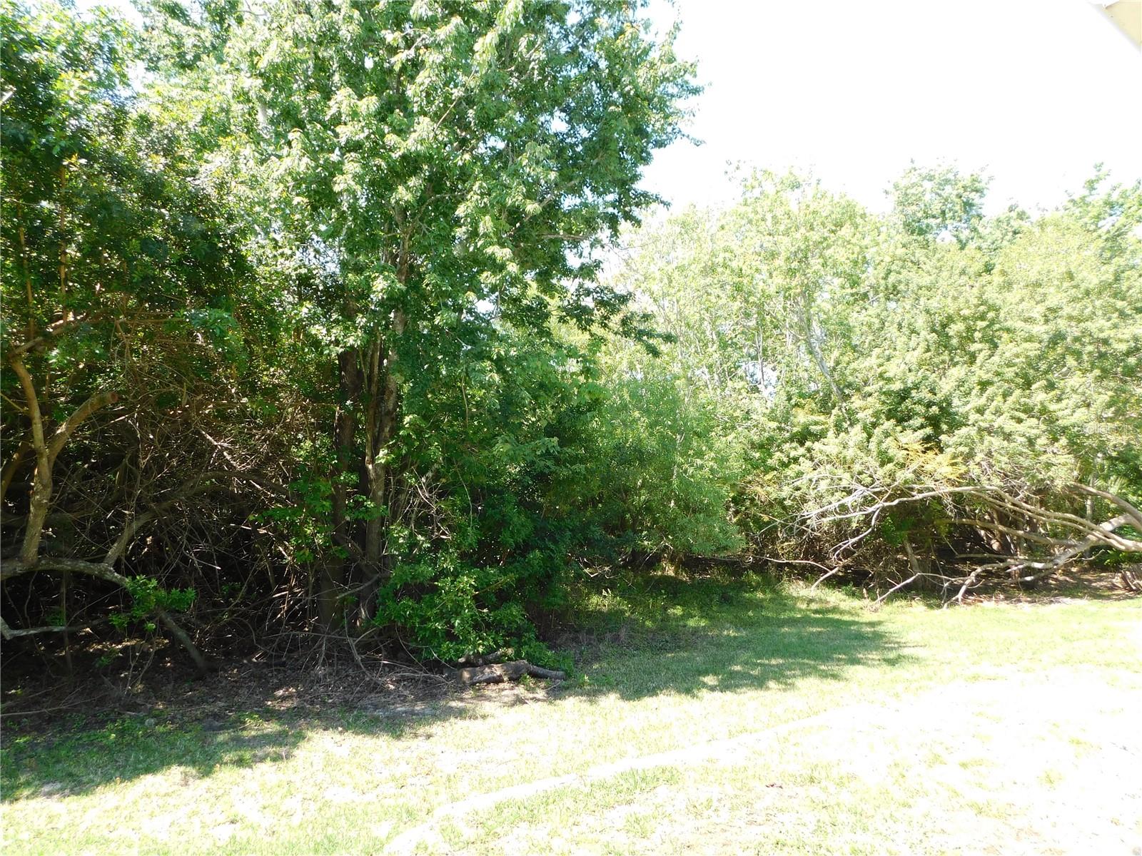 Conservation back yard