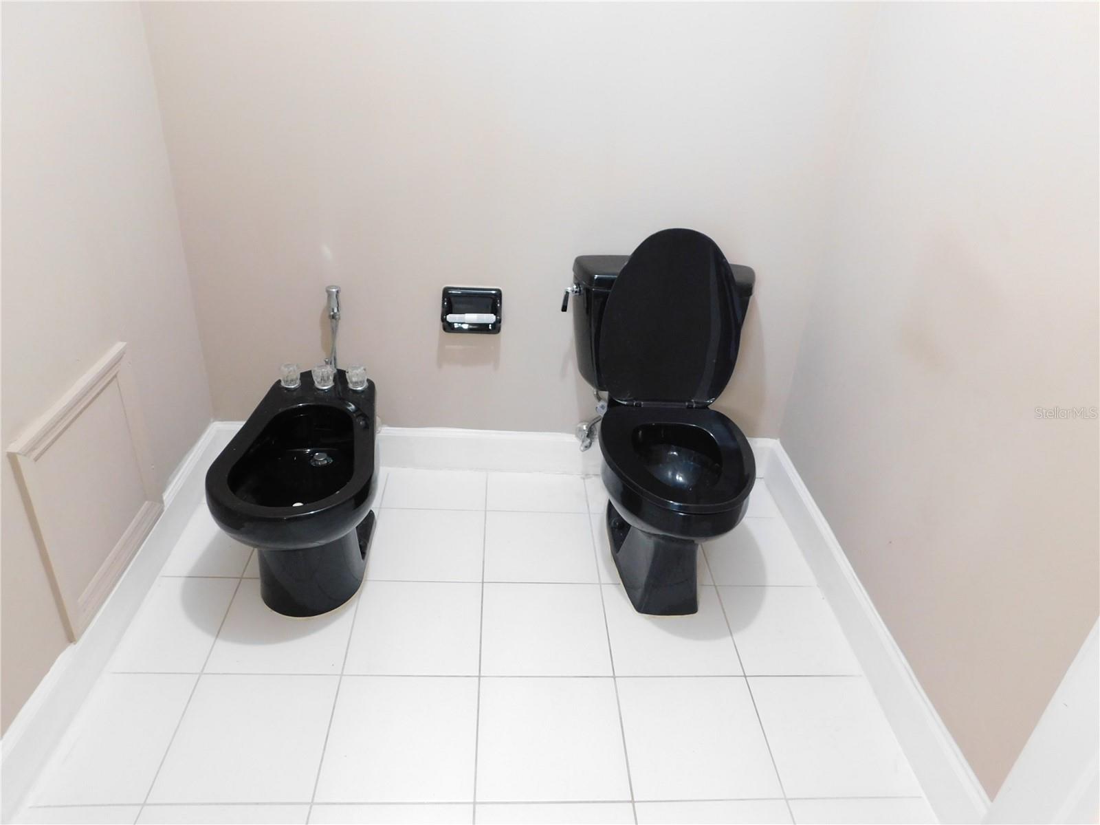 Primary water closet with bidet and toilet