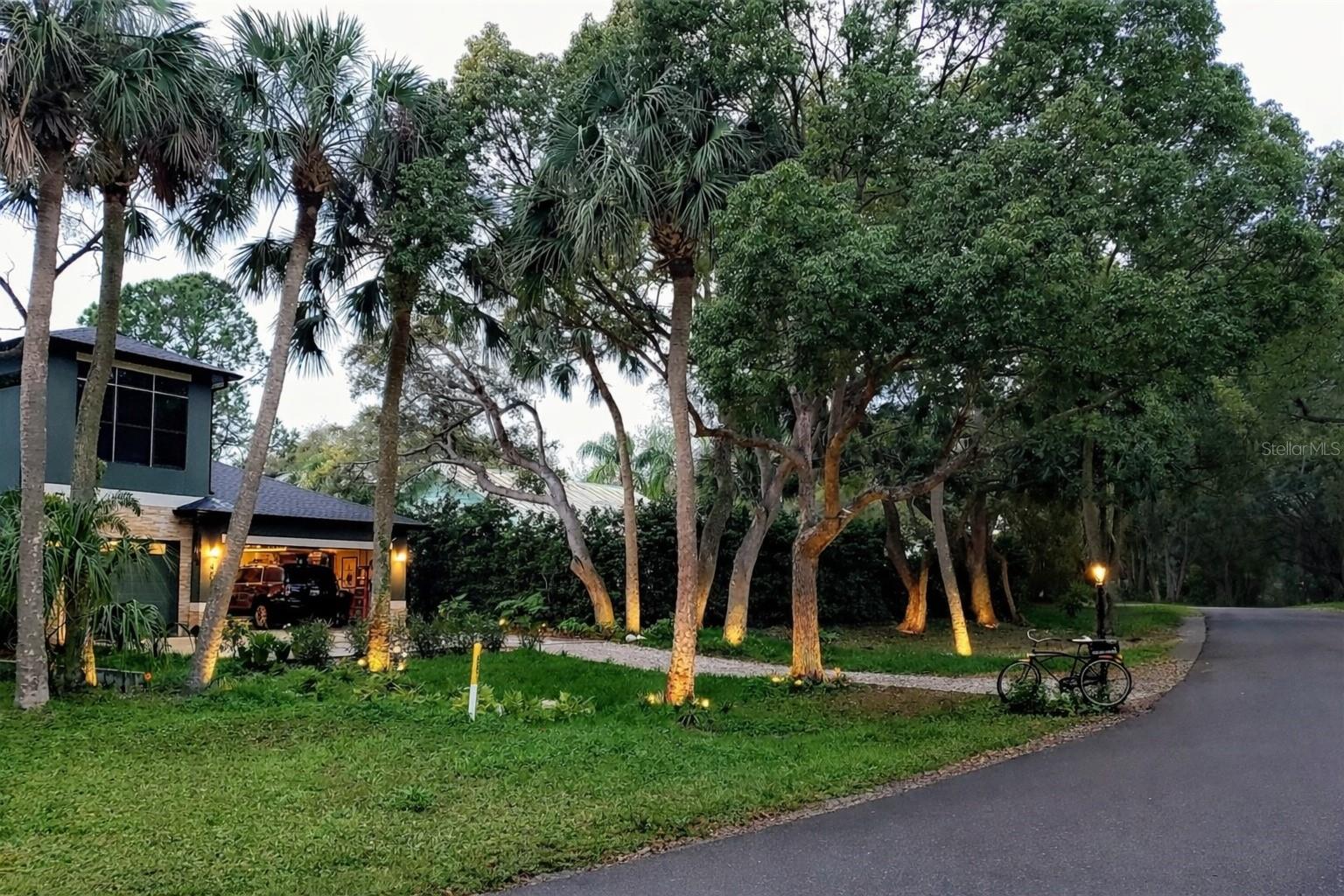 Night Front Exterior