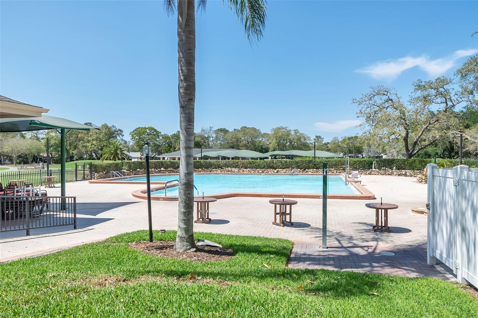 Lodge Pool
