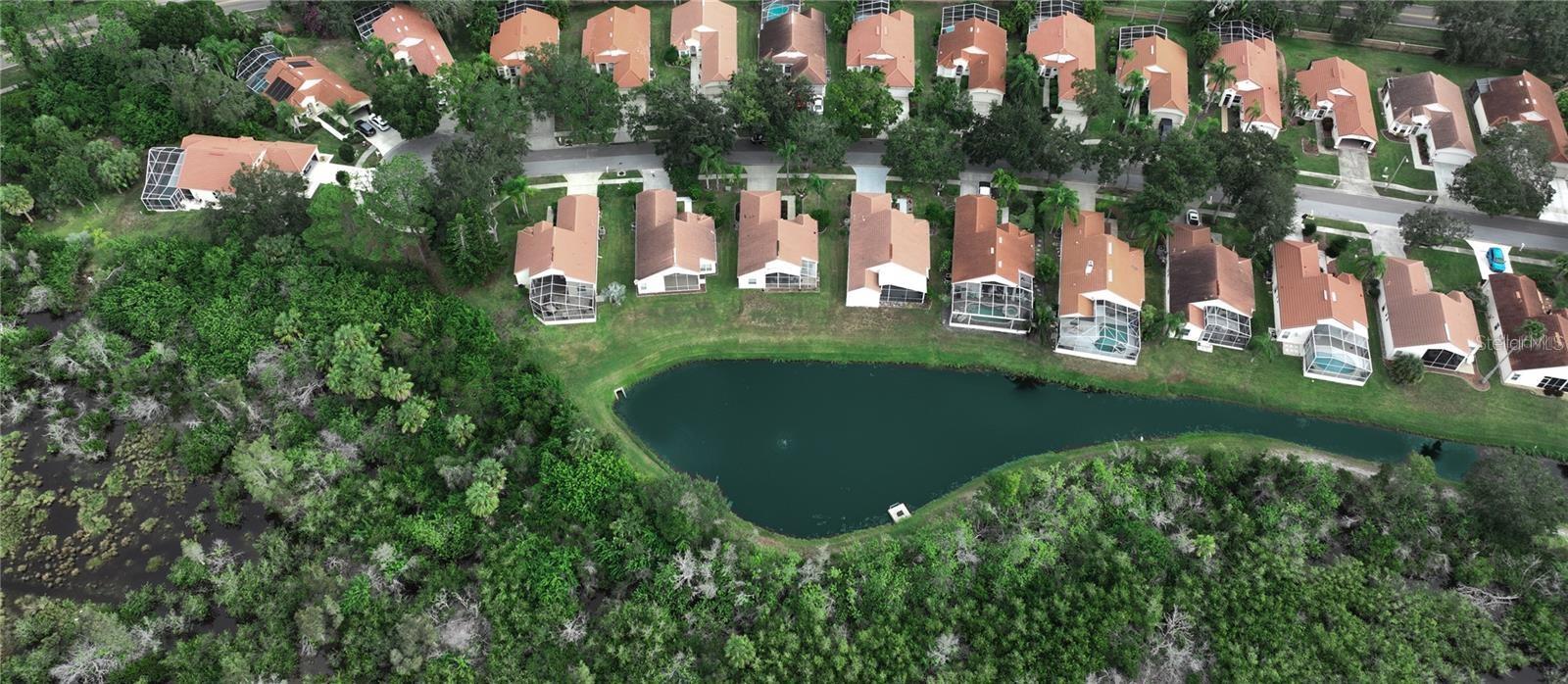 Situated on Pond & Preserve