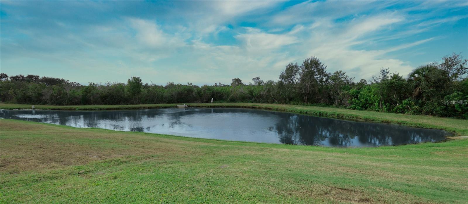 Pond & Conservation View