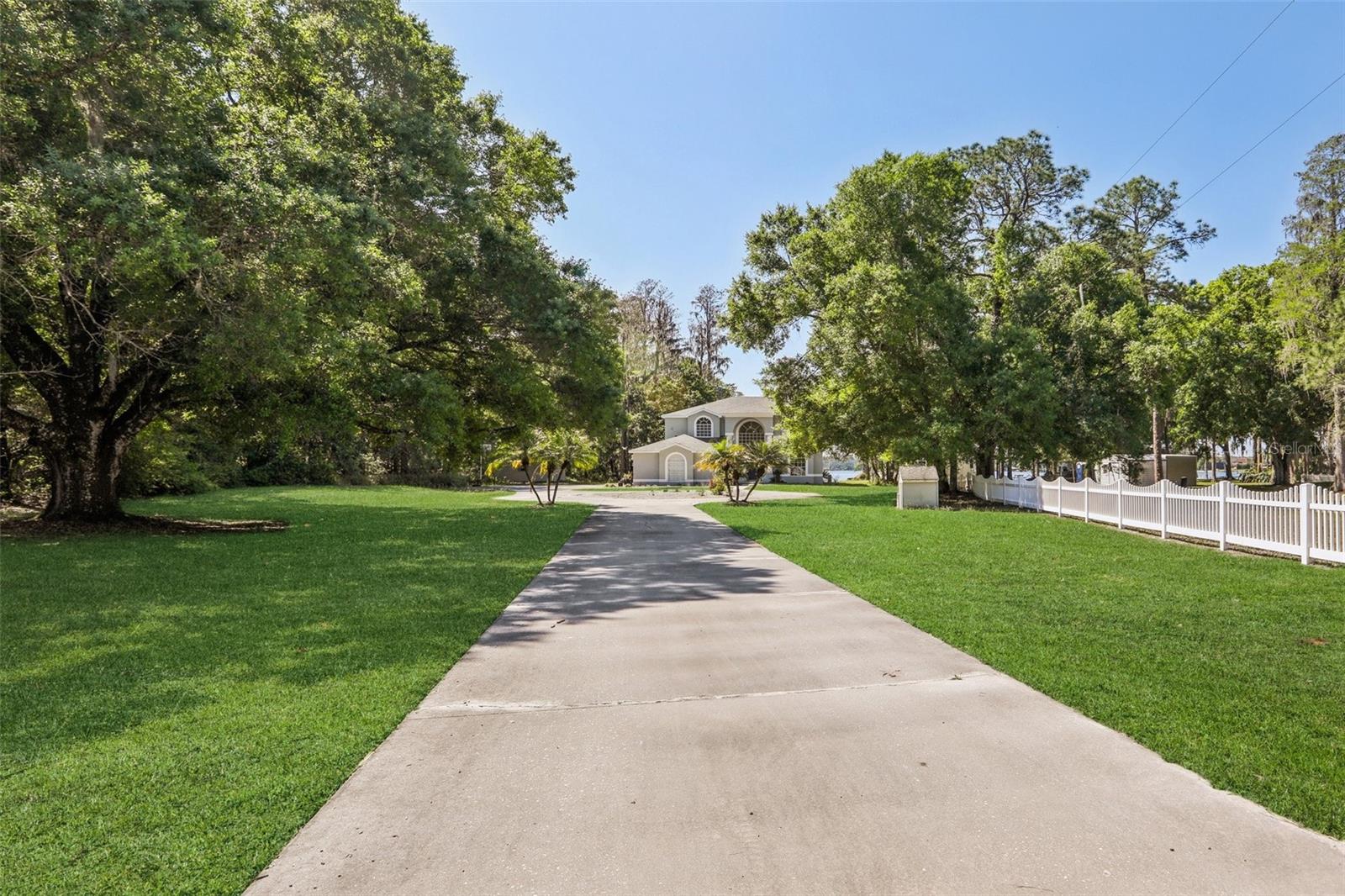 Front Yard / Drive Way