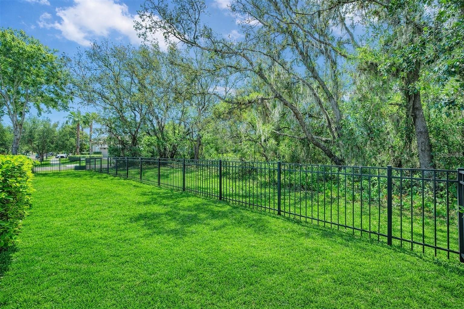 Back yard