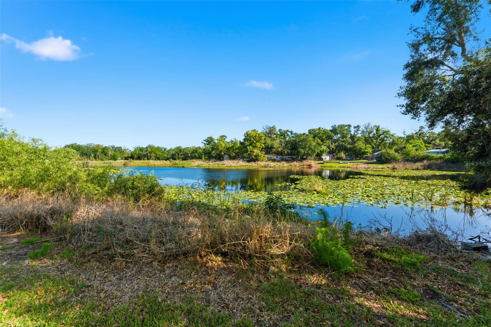calm water views; Just add your dock; Perfect fishing spot!