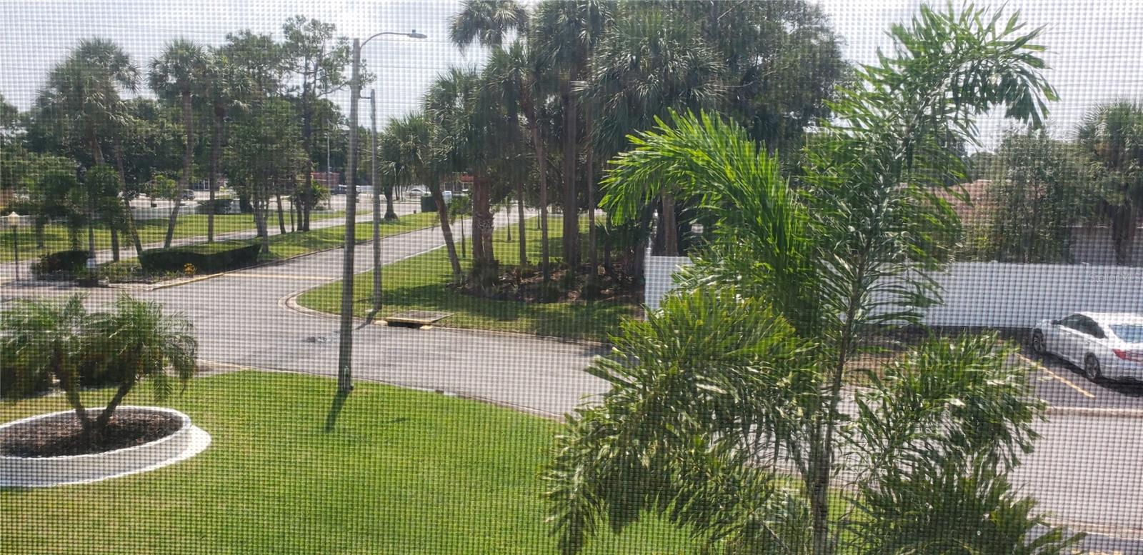 view out the front balcony