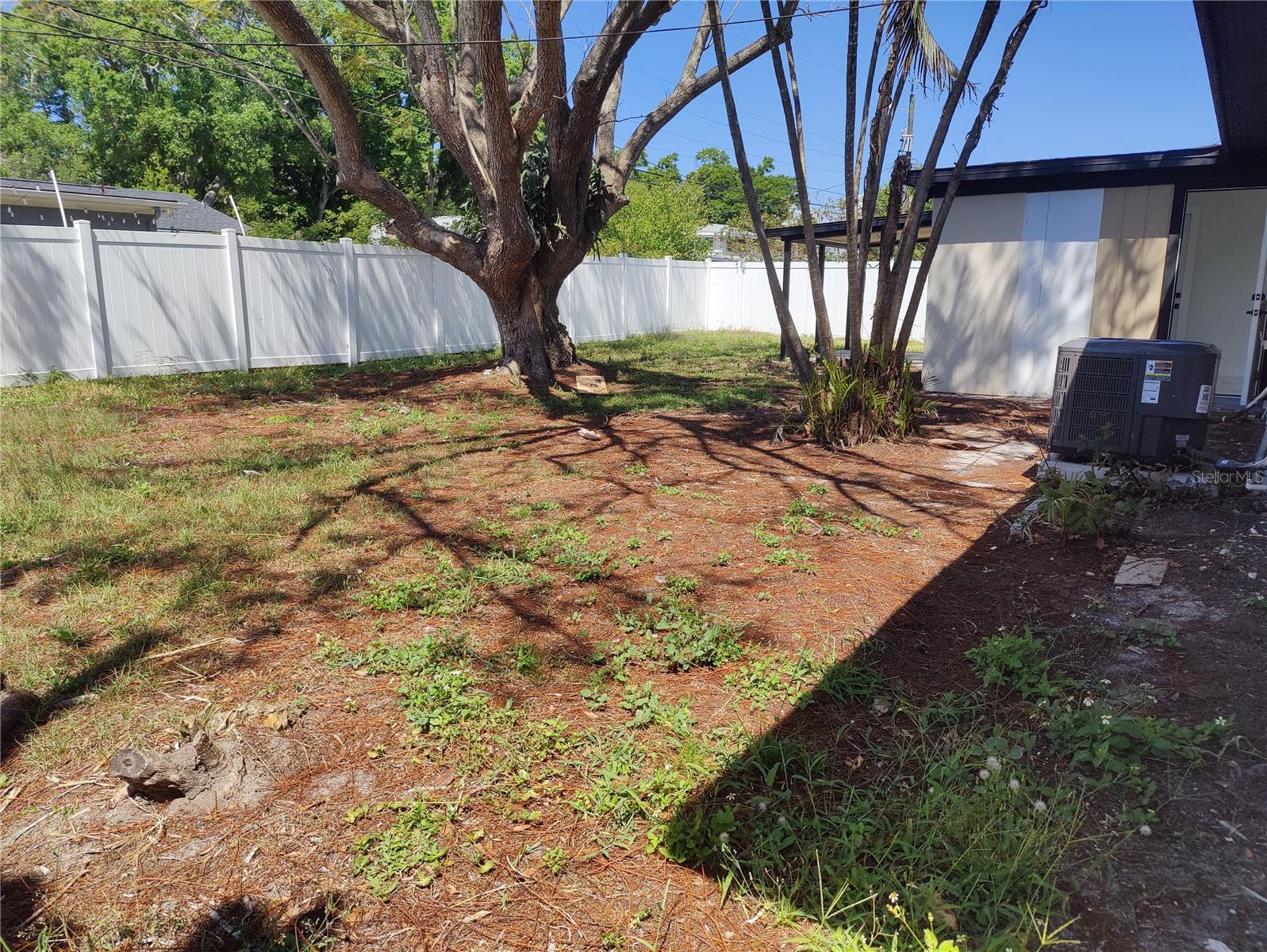 Backyard View From Another Angle