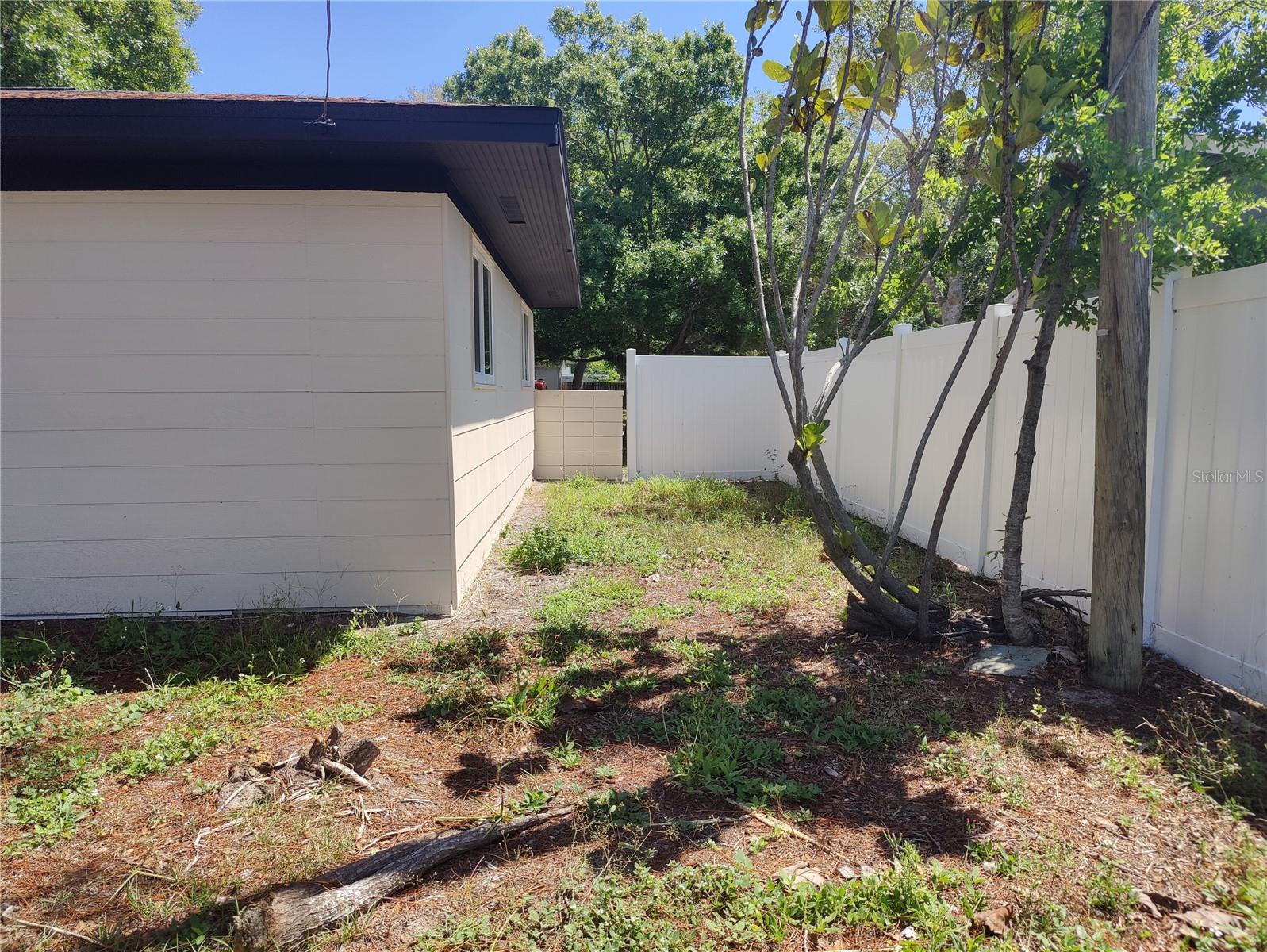 Backyard View Different View