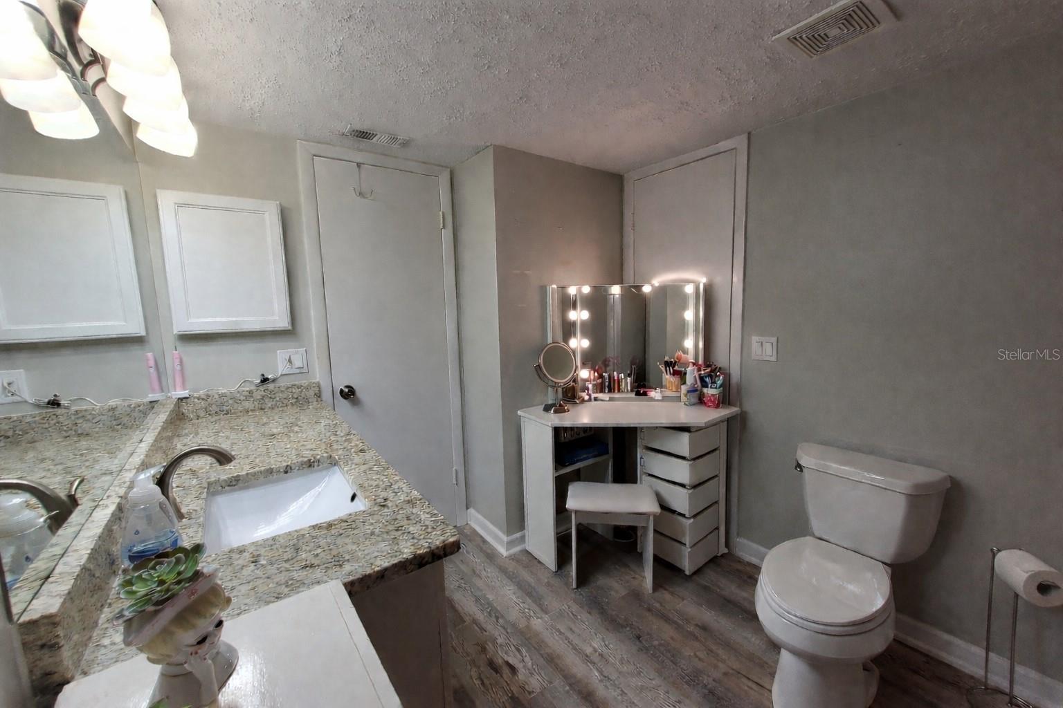 Master bathroom area
