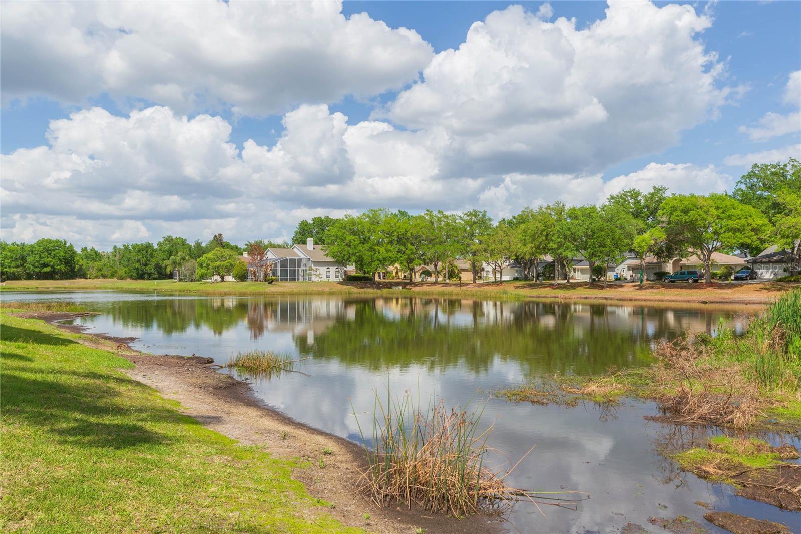 Pond across the street