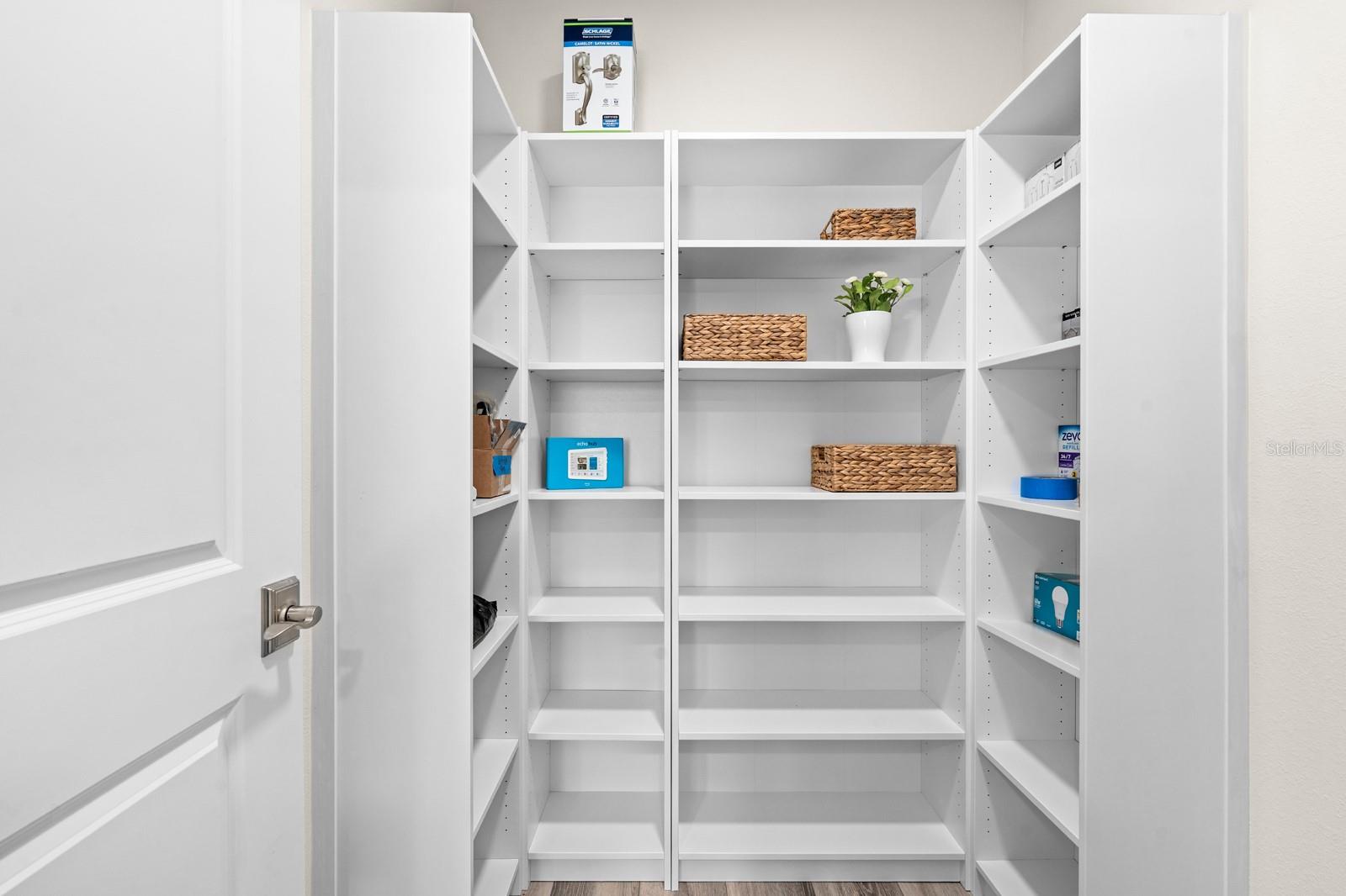 Look at the size of this Walk-in Pantry!