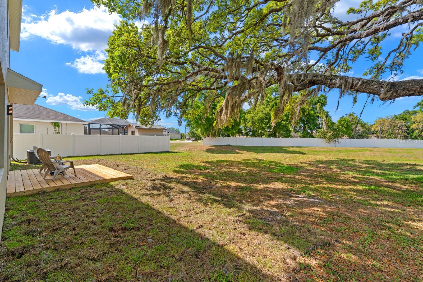 What a great view, very relaxing. And you can hear the cows in the nearby pasture and of course the Florida birds in the trees.