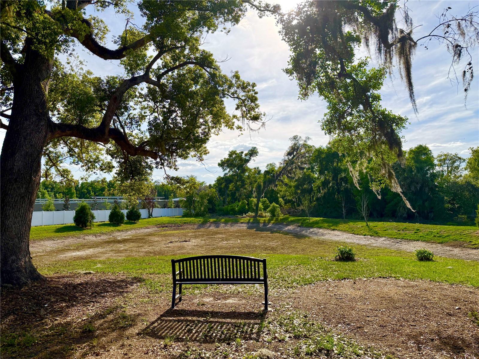 Enjoy the community park.  The retention pond usually has water, but rain has been sparse recently.