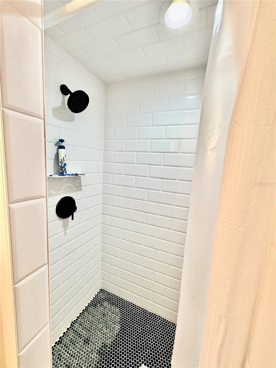 Primary Bathroom Shower