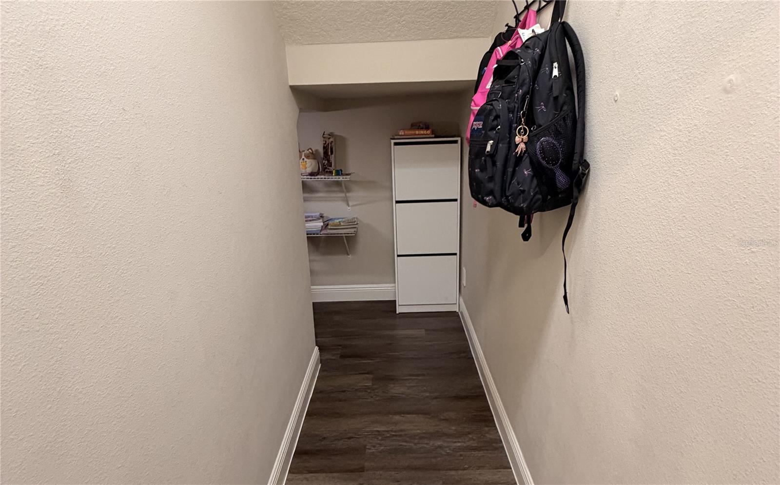 Storage/secret space under the stairs