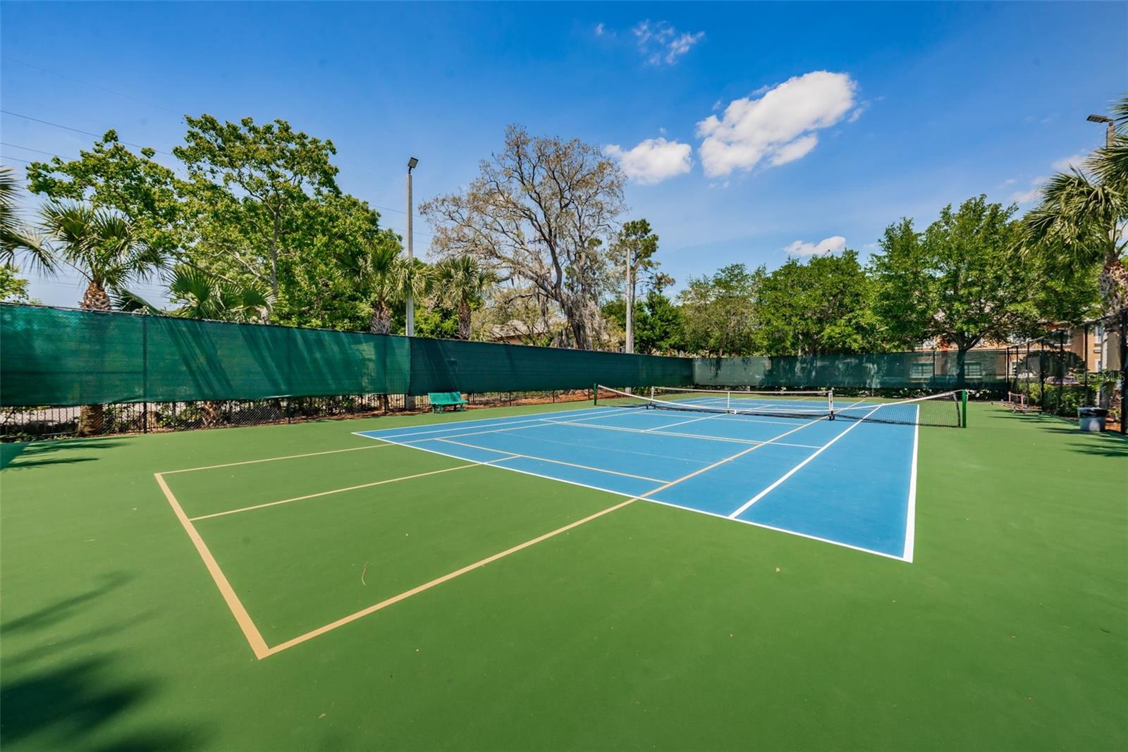 Tennis/Pickleball Court