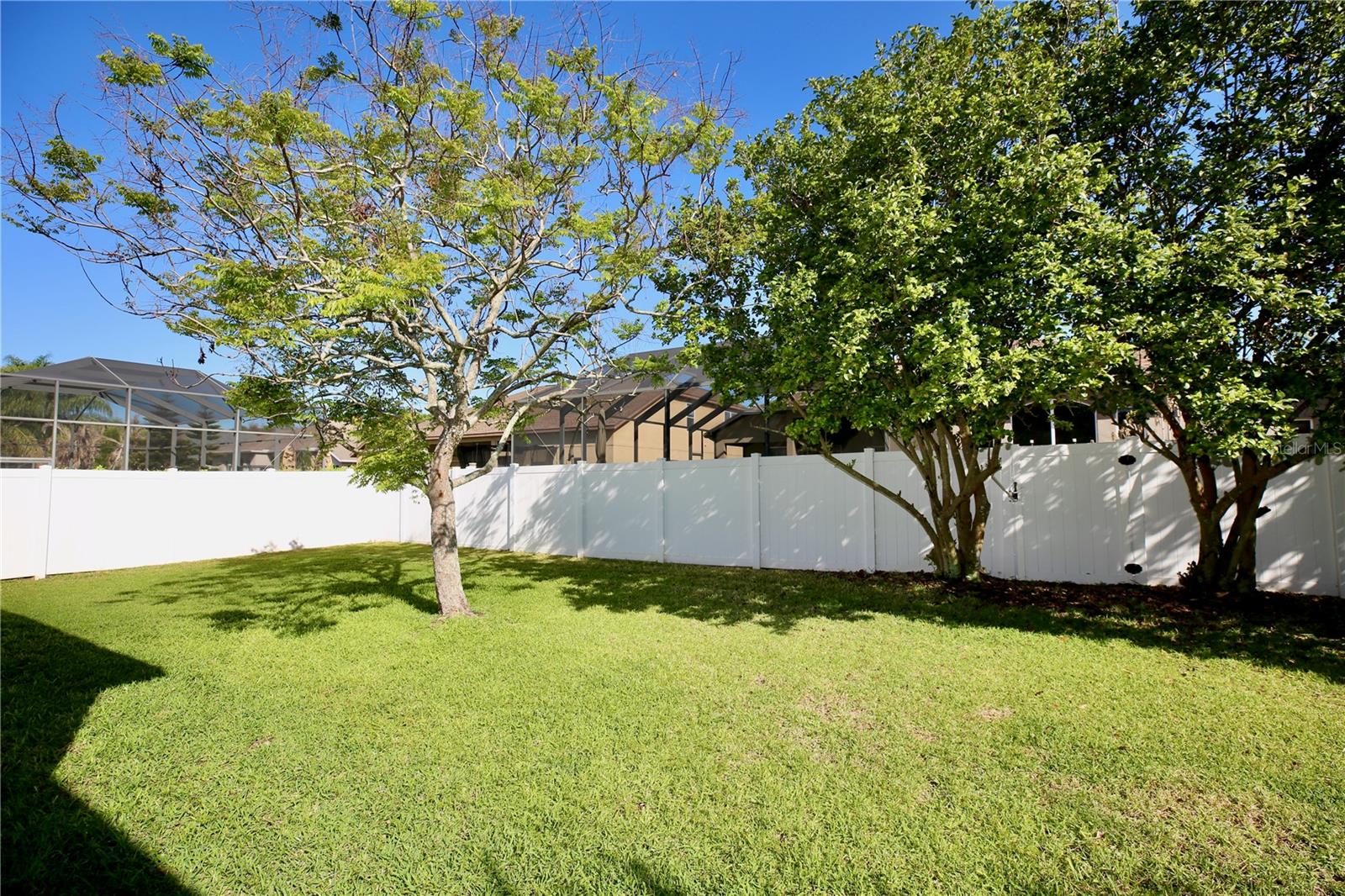 Vinyl fenced yard