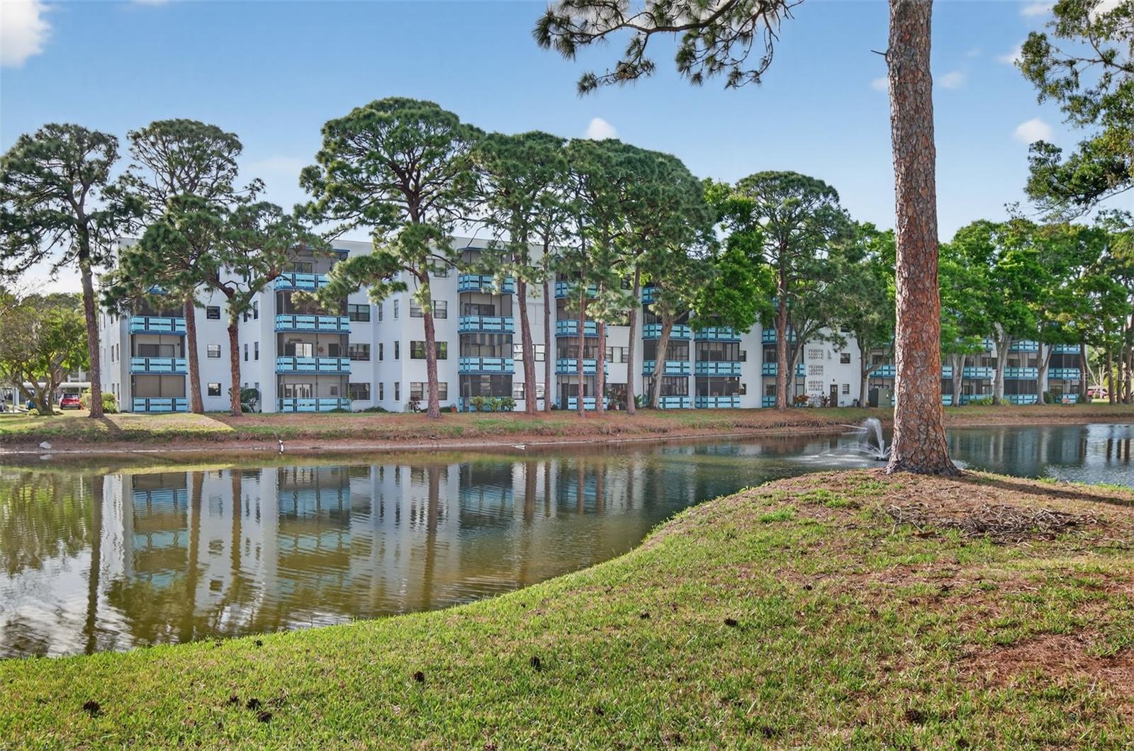 Back Facade of Lexington