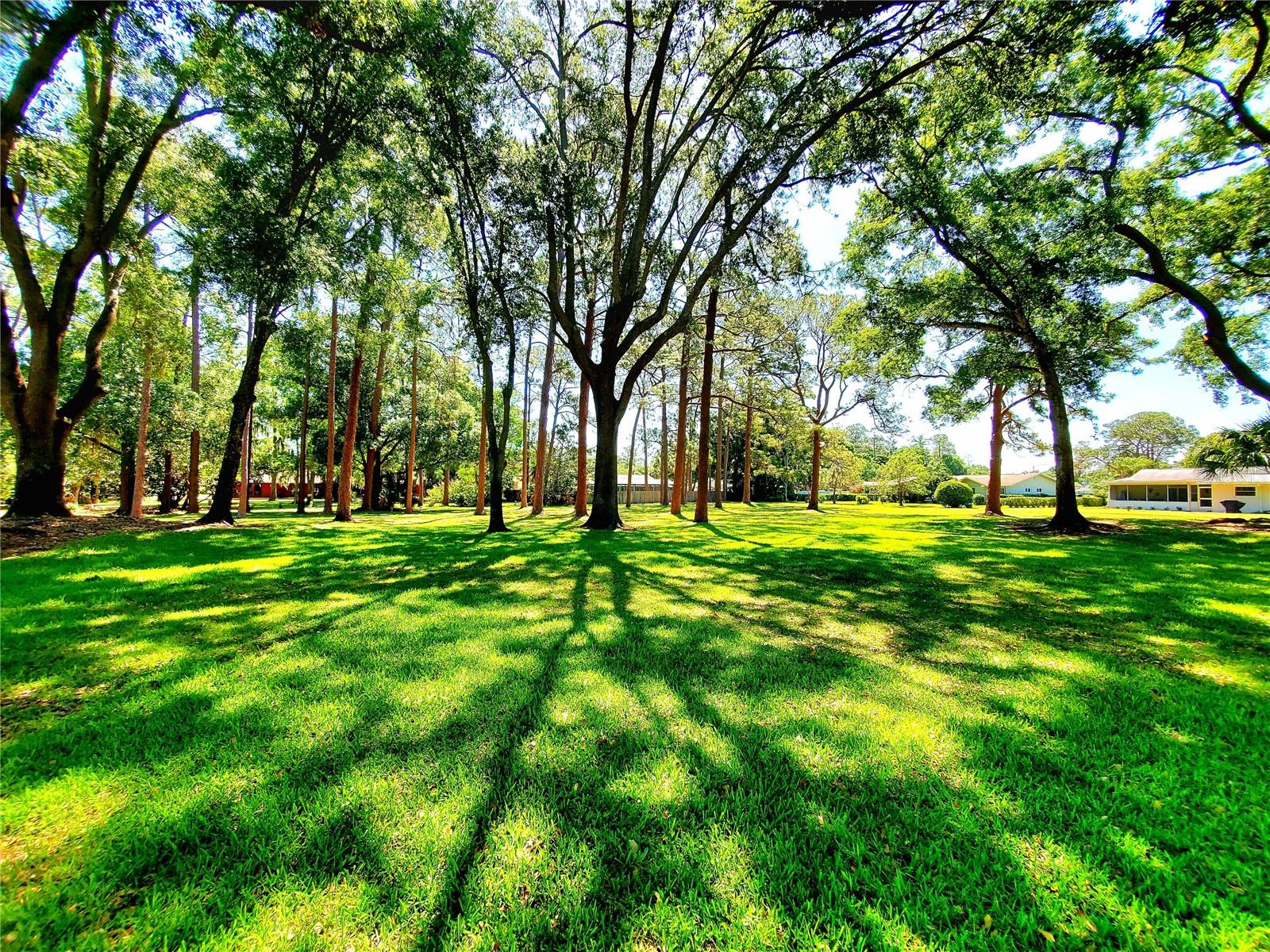 BEAUTIFUL PARK