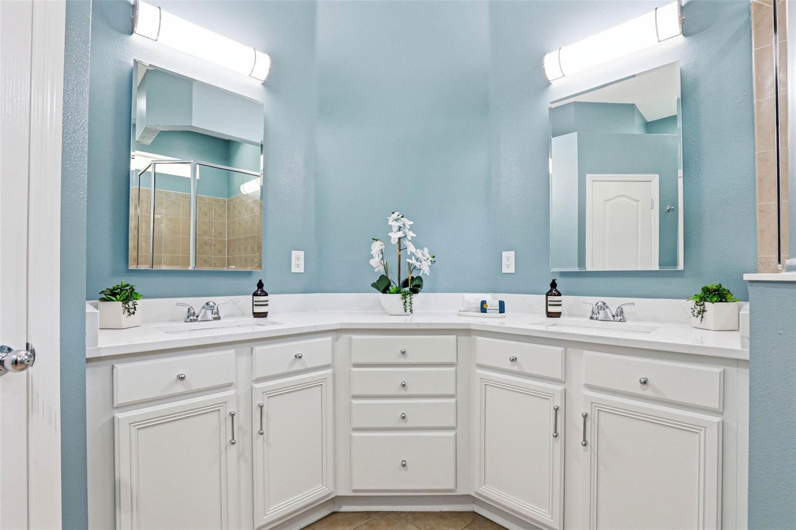 Primary En-Suite: Dual Sink Vanity, Quartz Countertops & Dual Built-In Medicine Cabinets