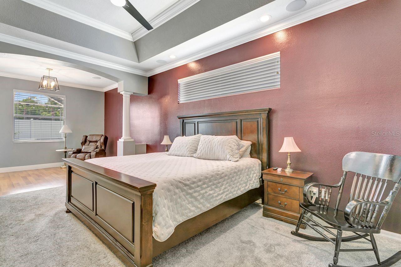 Primary Bedroom with Tray Ceiling, Double Crown Molding and Window for Natural Light