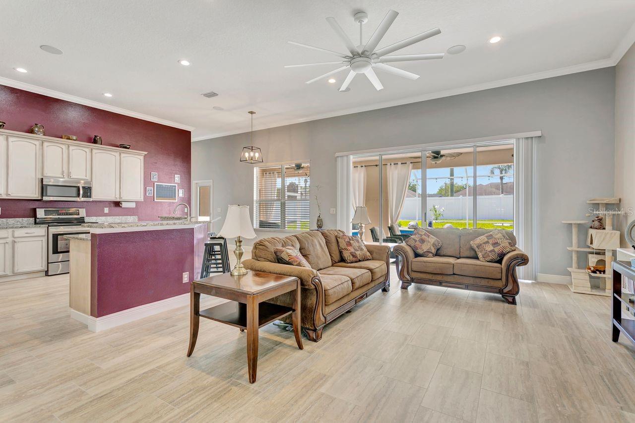 Living Room with Upgraded Ceiling Fan