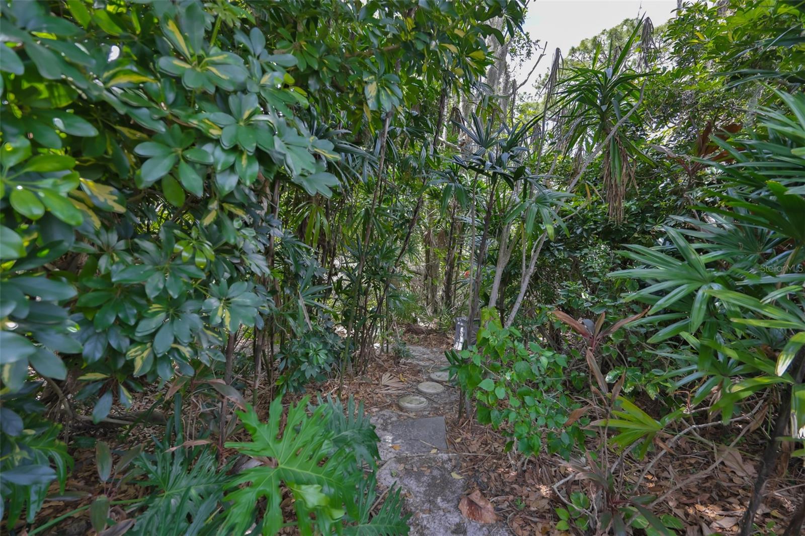 Backyard view with areas for exploring.