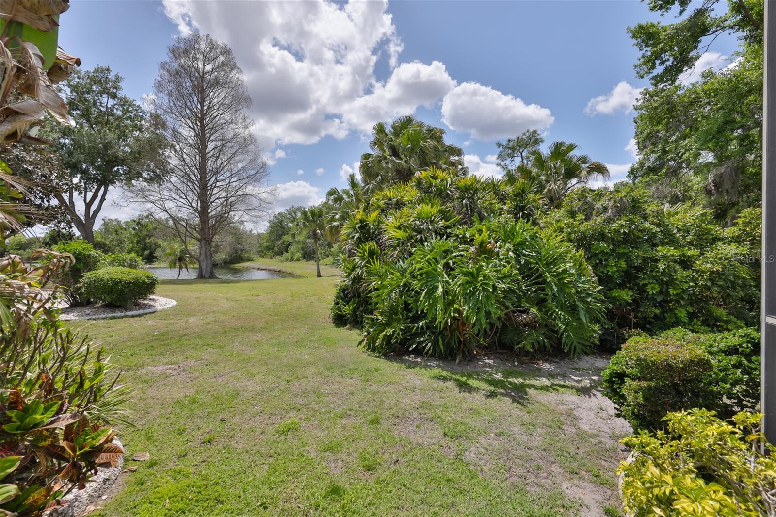 Backyard view with areas for exploring.