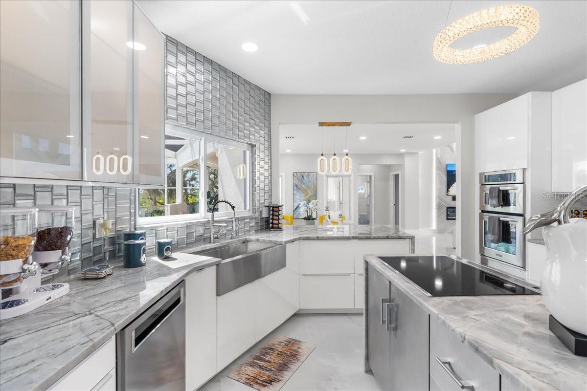 Sleek chef's kitchen