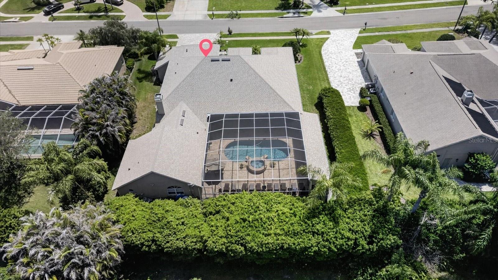 Huge Hedge in back of House for Privacy