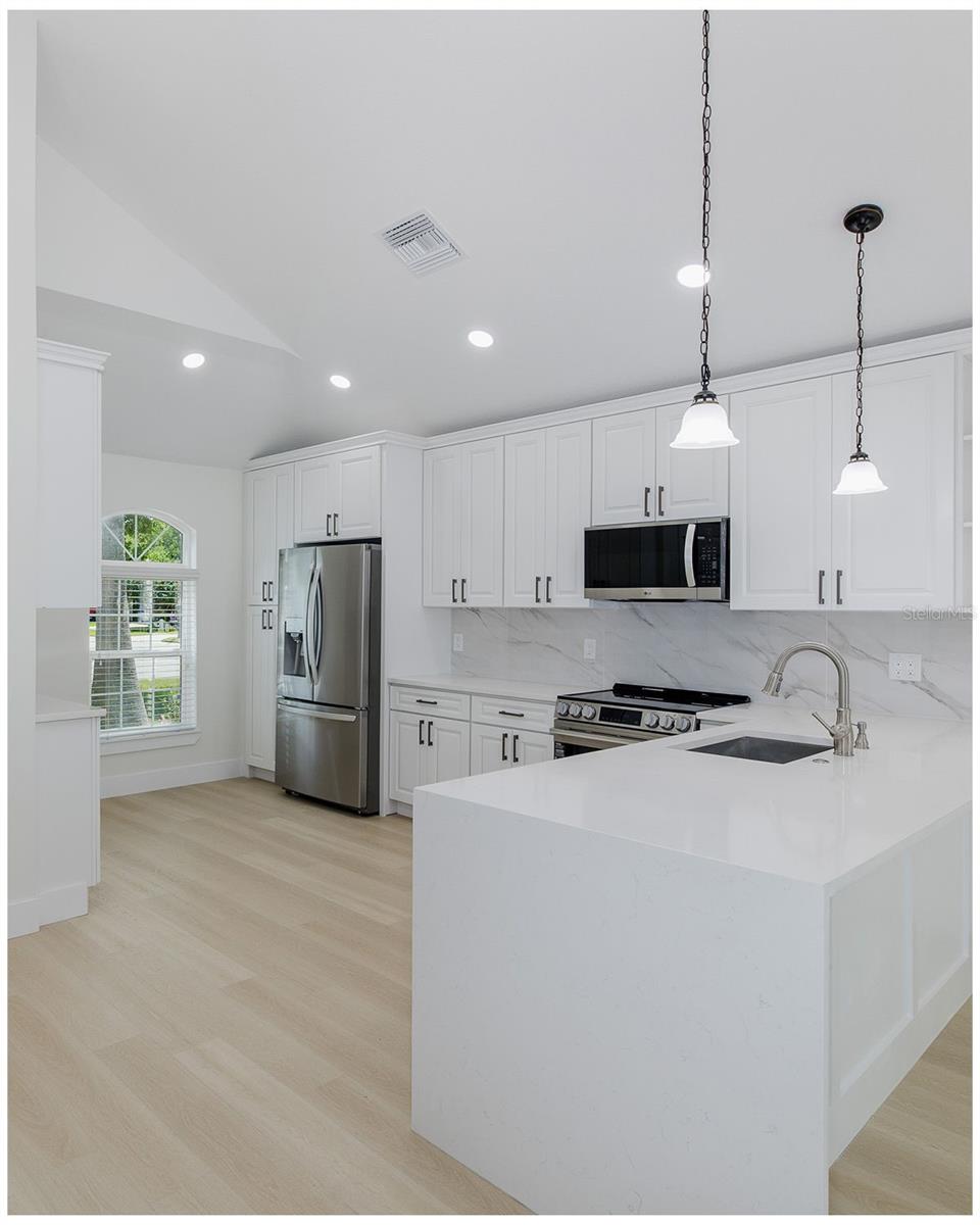 Chef's Dream Kitchen