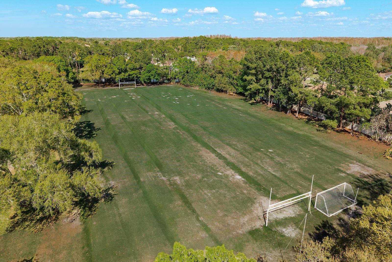 Soccer field