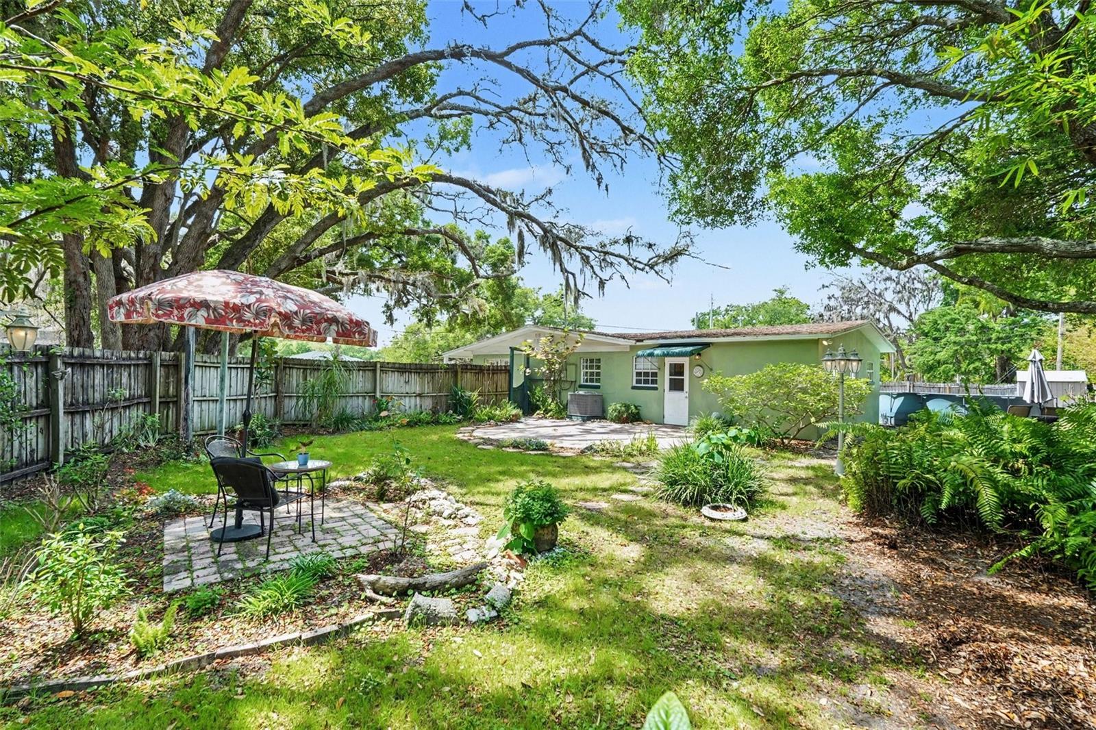 Spacious Backyard