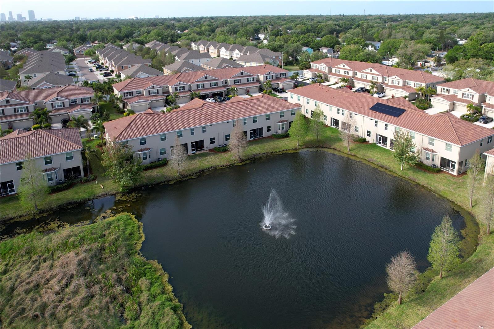 Aerial Pond View