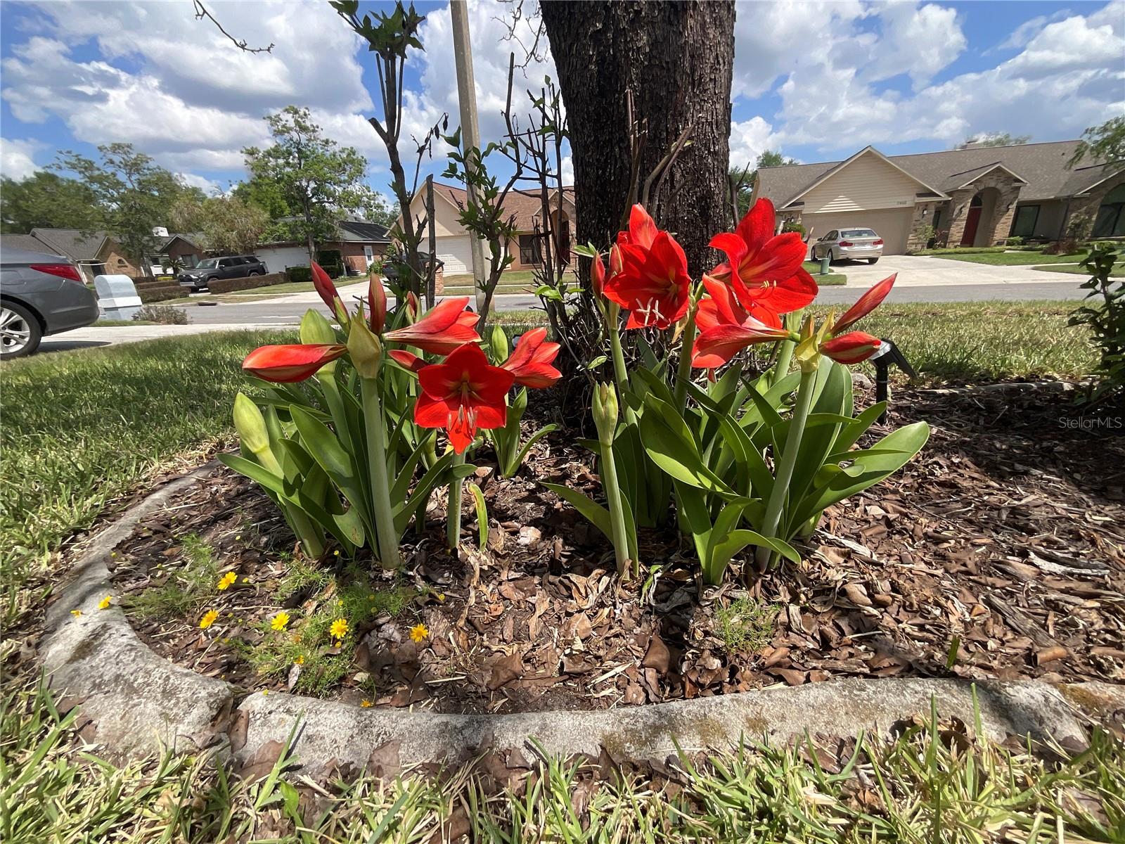Flowers are returning and adding that "homey" feel to this well manicured property