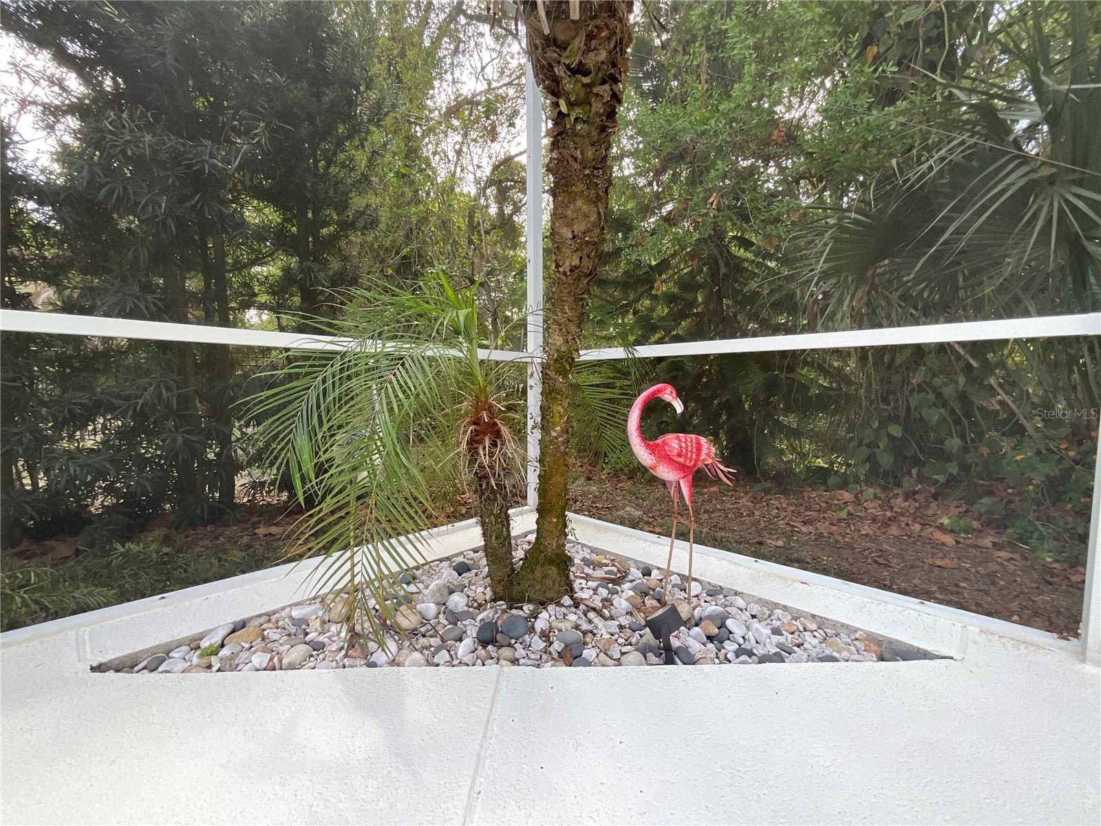 Corners of pool are rocked and ready for decorations