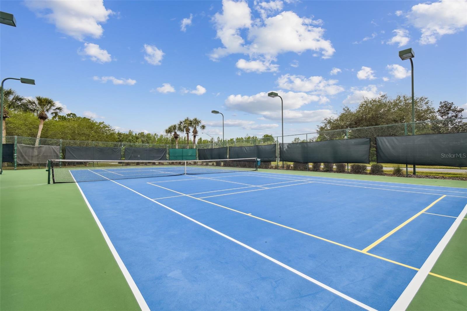 Tennis/Pickleball Courts