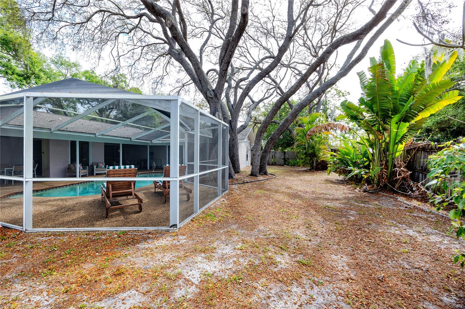 Space for the pups to run!