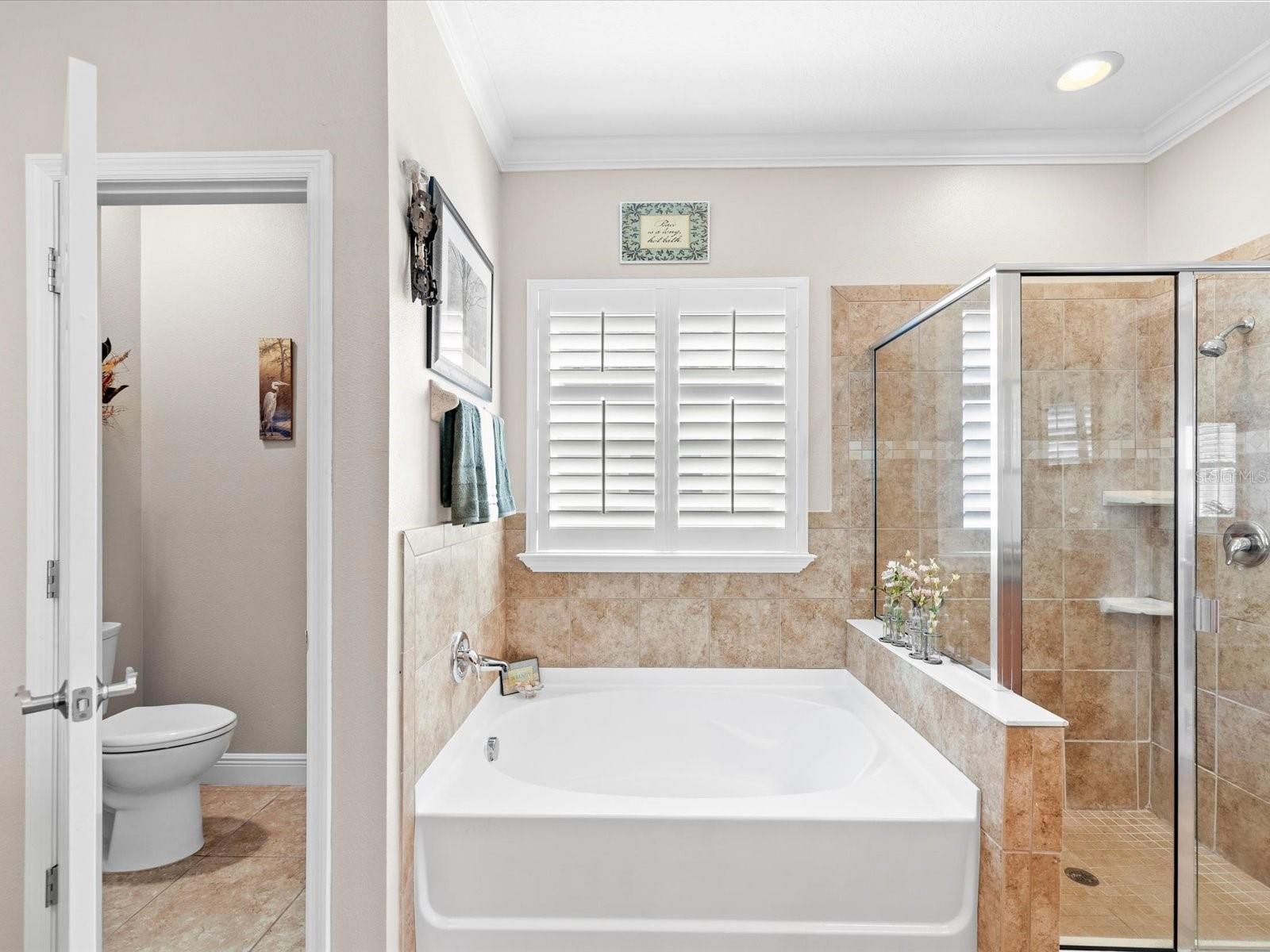 Soaking Tub with oversized shower