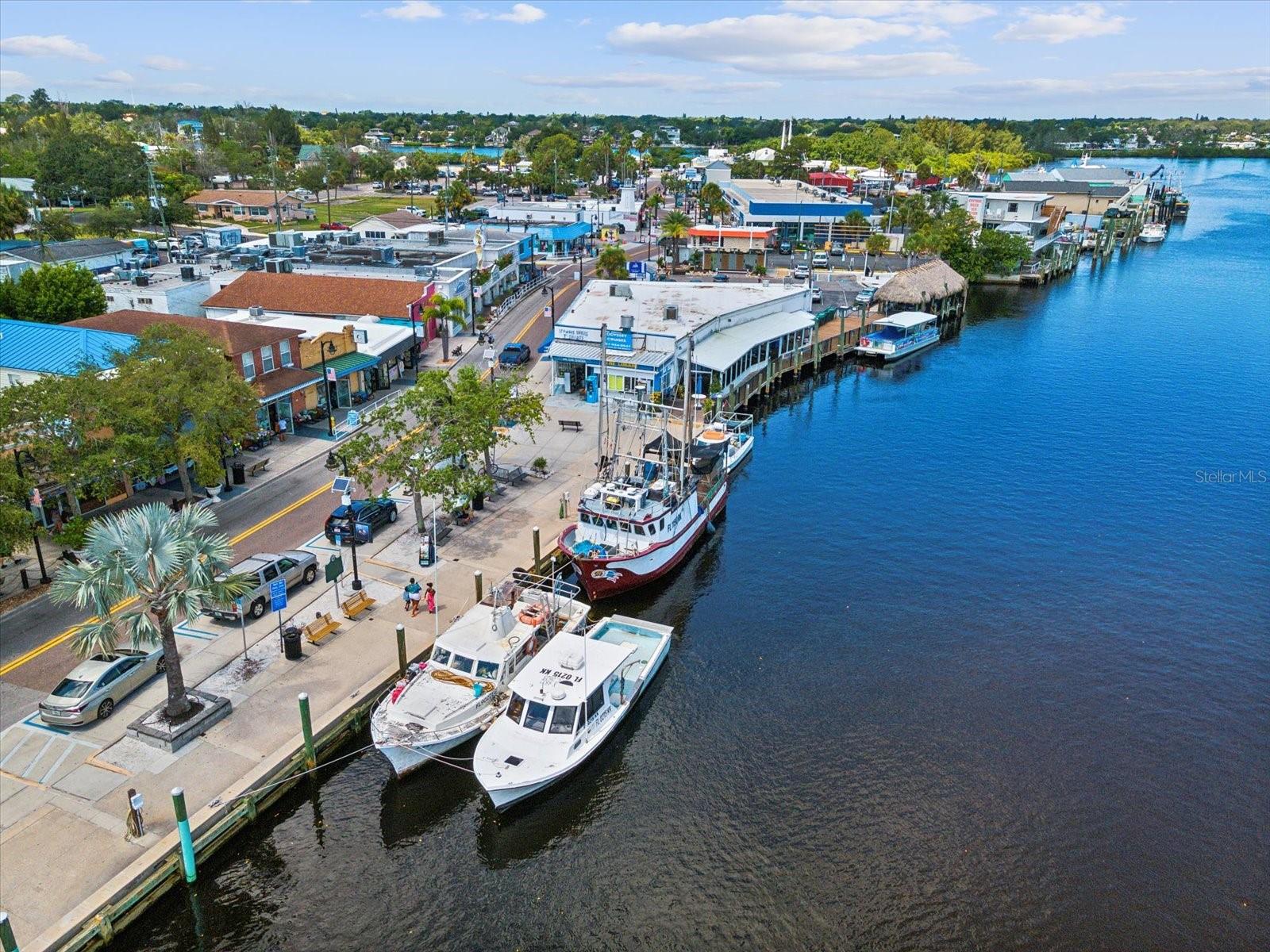 Description of Tarpon Springs sponging boats:These historic boats, characteristic of Tarpon Springs, Florida, were traditionally used for sponge diving. They are easily recognizable by their unique, often brightly colored hulls and the gear used for the trade. Currently, they are primarily used for tourism, offering boat tours that allow visitors to learn about the area's sponge diving history and see the natural beauty of the Gulf Coast.