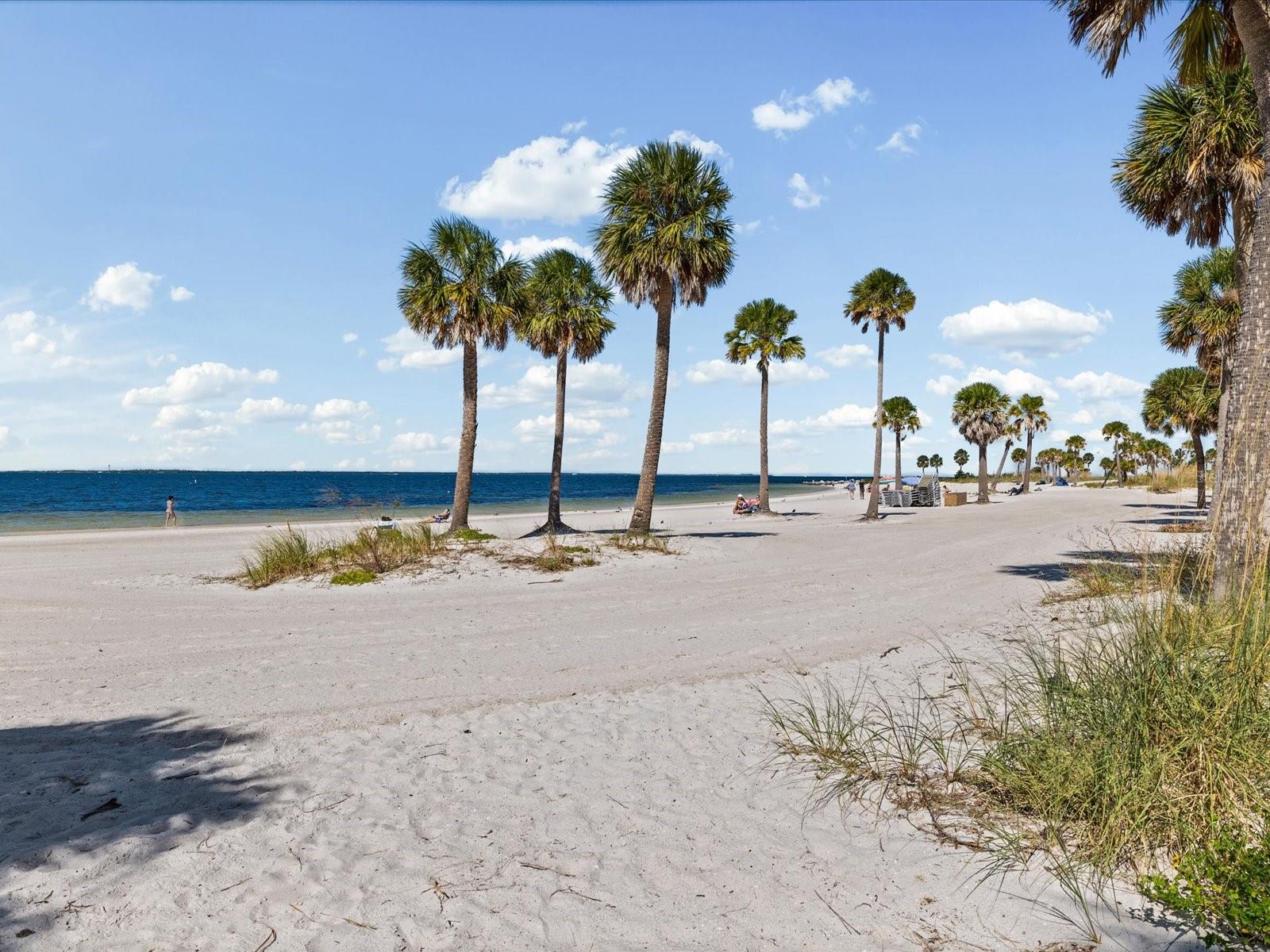 Marine Life: Visitors frequently spot dolphins and manatees in the shallow waters surrounding the causeway and island.