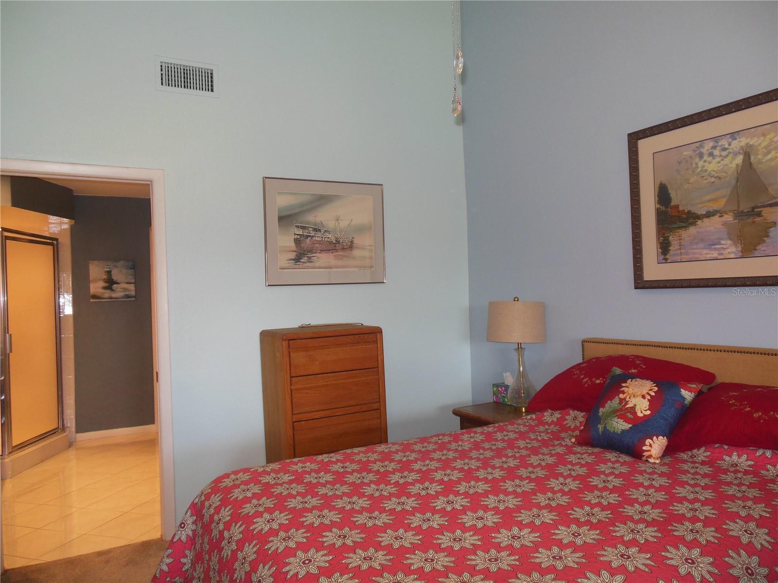 Spacious Master Suite with vaulted ceiling - room for master bed . . .