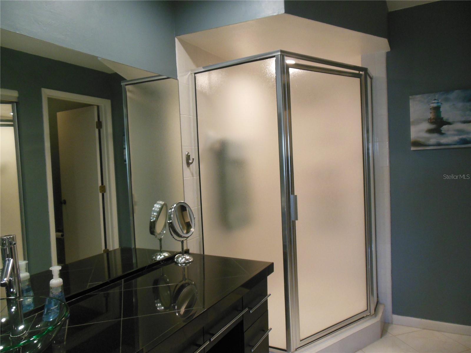 Master Bath with walk-in shower . . .