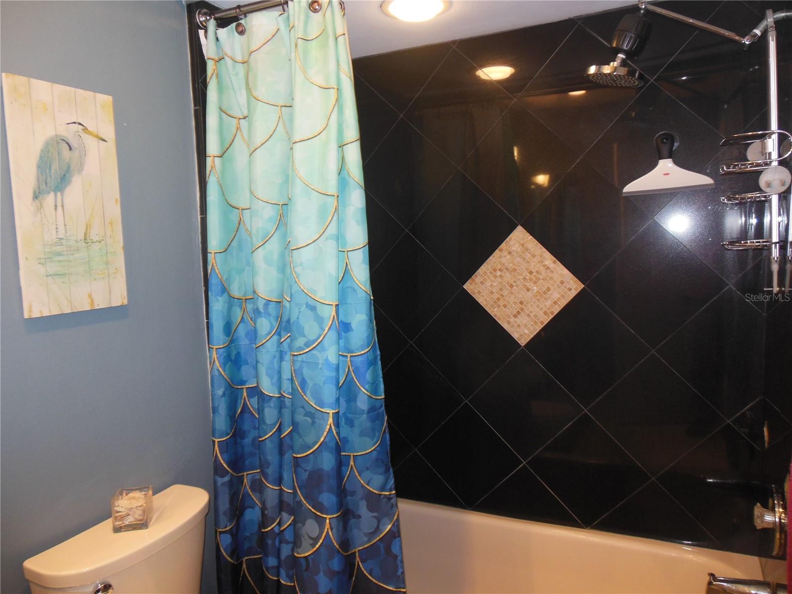 2nd Full Bath with tub . . .