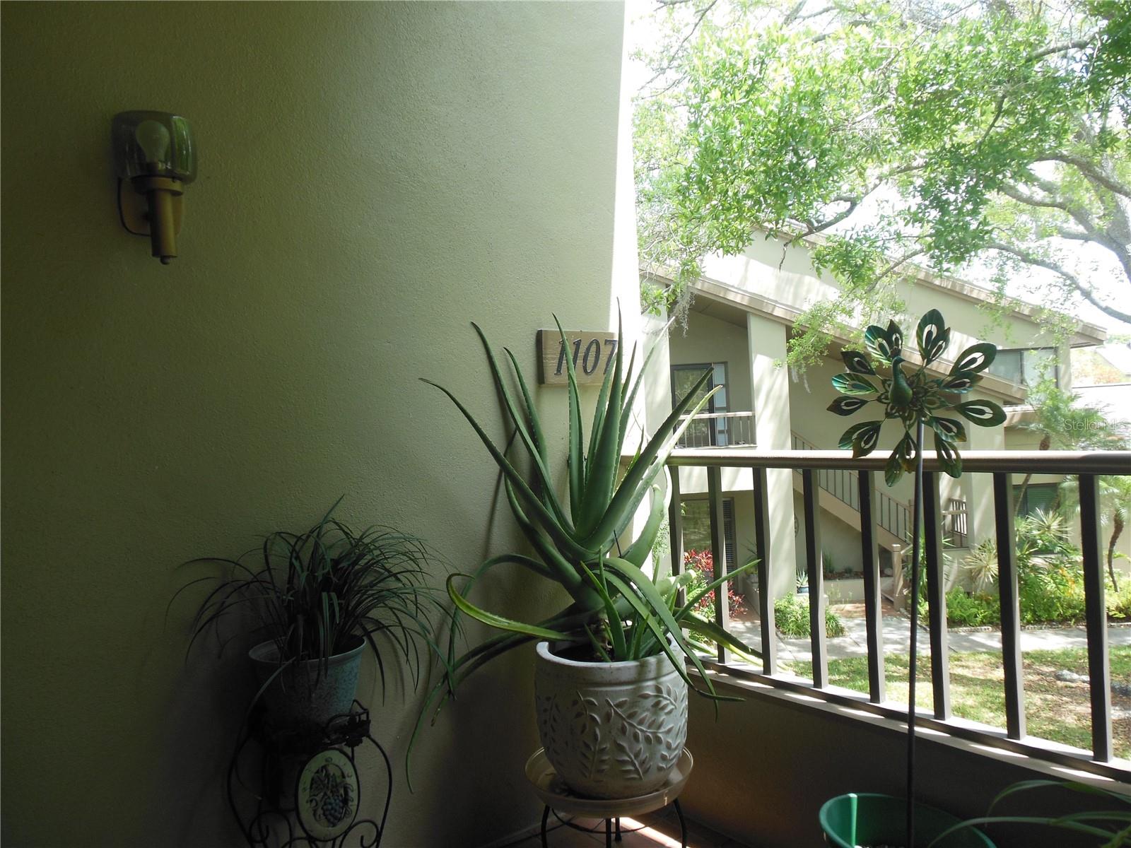 Front Porch overlooking park-like setting . . .