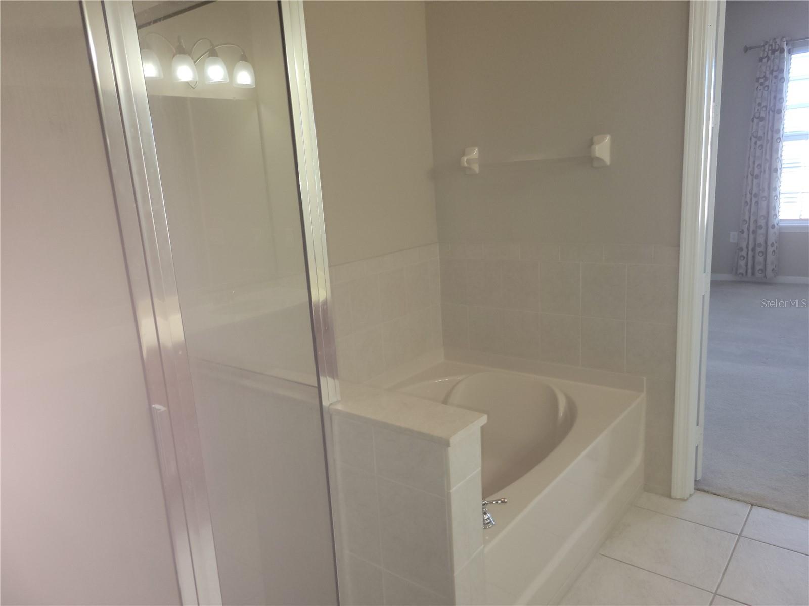 Master BR Bath