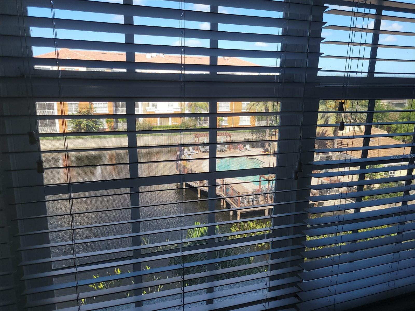 View from Master BR