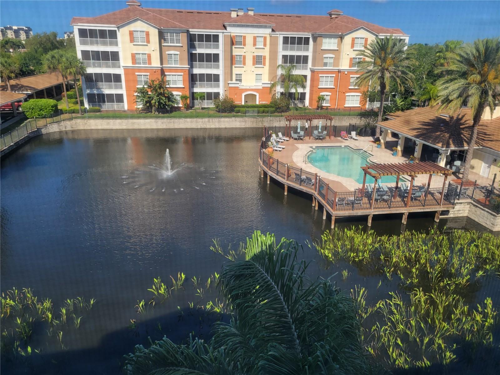 View from Master BR