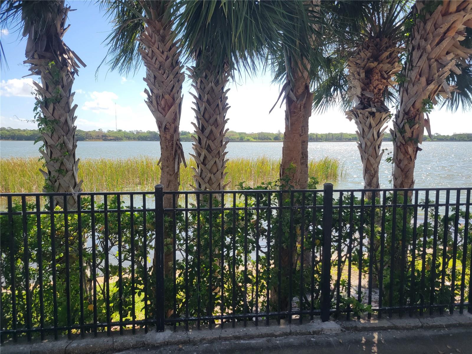 View of Lake Seminole