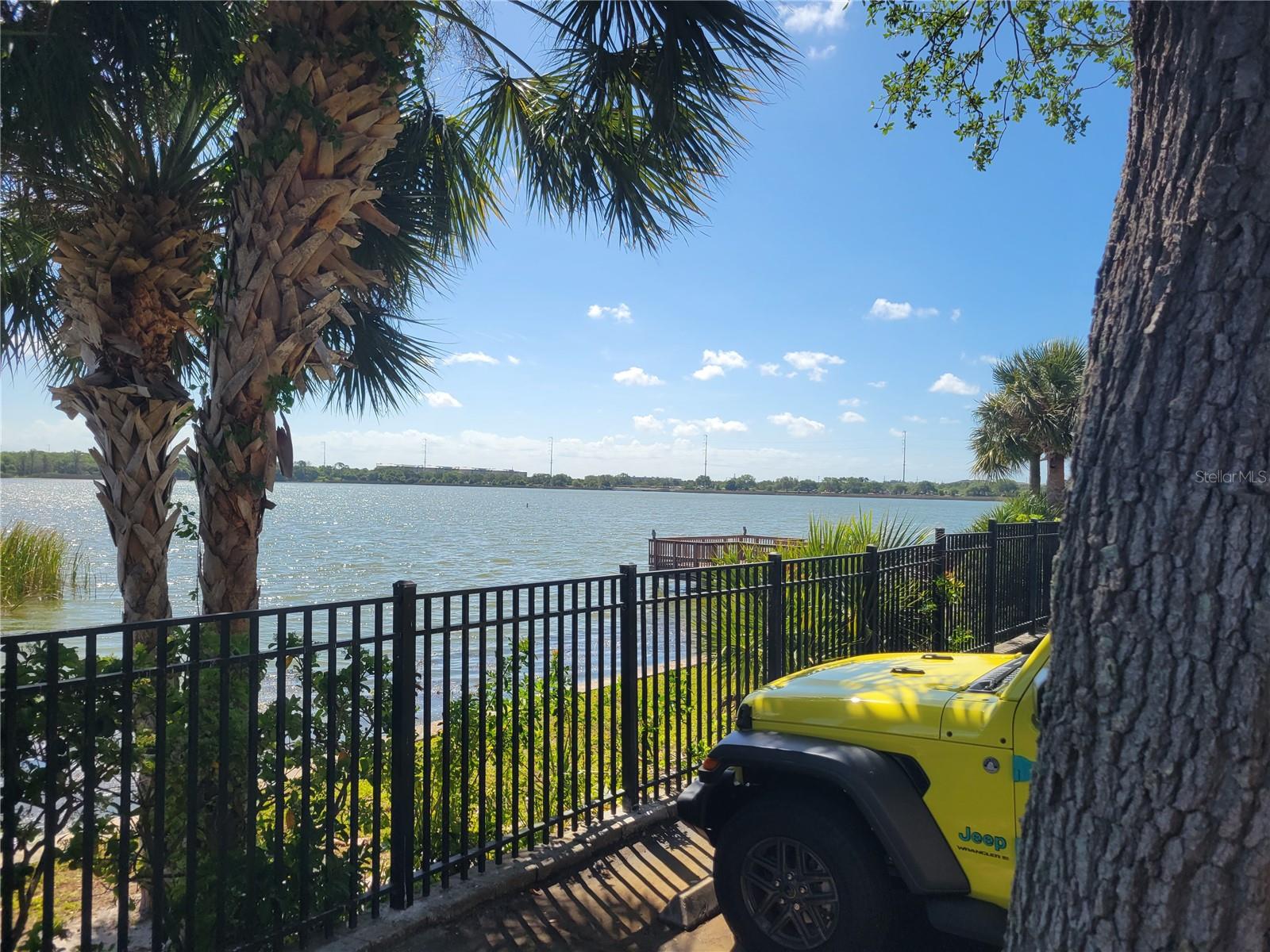 View of Lake Seminole